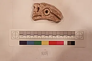 Stucco Fragment