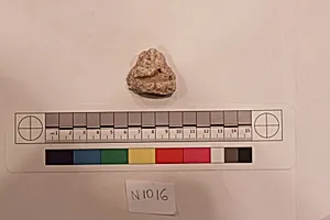 Stucco Fragment