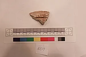 Stucco Fragment
