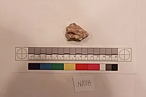 Stucco Fragment