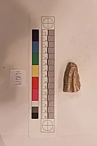Stucco Fragment