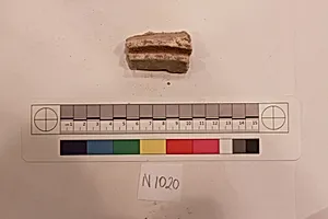 Stucco Fragment