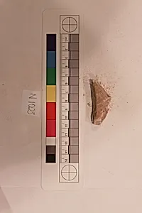 Stucco Fragment