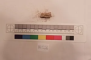 Stucco Fragment by Unknown Artist