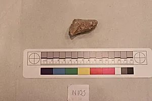 Stucco Fragment