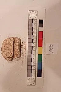 Stucco Fragment