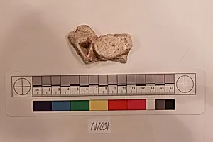 Stucco Fragment
