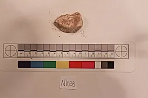 Stucco Fragment