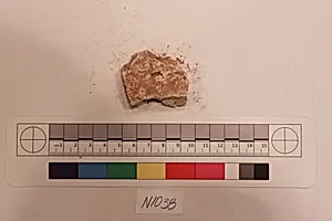 Stucco Fragment