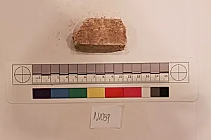 Stucco Fragment