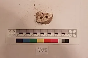 Stucco Fragment