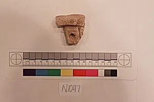 Stucco Fragment