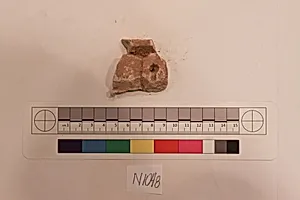 Stucco Fragment