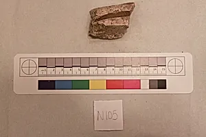 Stucco Fragment