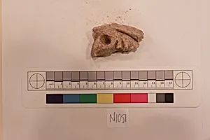 Stucco Fragment
