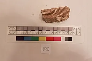 Stucco Fragment