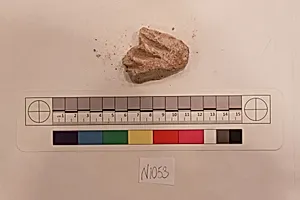 Stucco Fragment