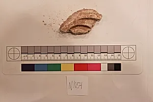 Stucco Fragment