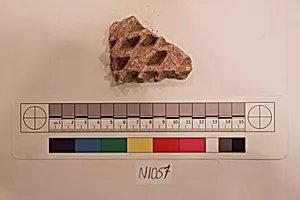 Stucco Fragment