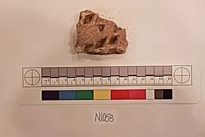 Stucco Fragment