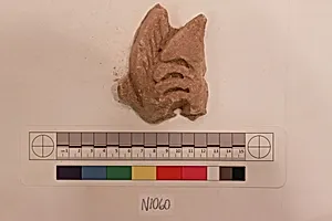 Stucco Fragment