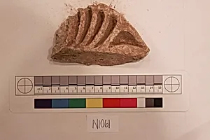 Stucco Fragment