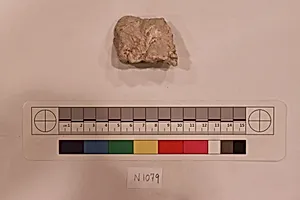 Stucco Fragment