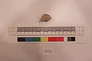 Stucco Fragment by Unknown Artist