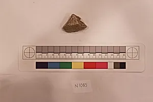 Stucco Fragment