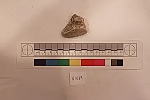 Stucco Fragment