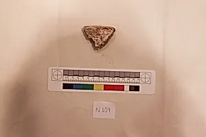 Stucco Fragment