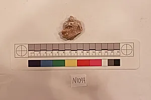 Stucco Fragment