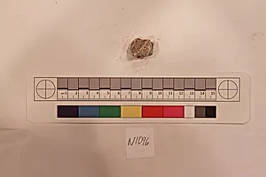Stucco Fragment