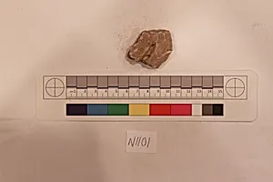 Stucco Fragment