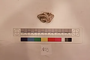 Stucco Fragment
