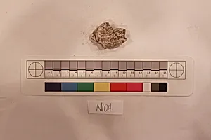 Stucco Fragment