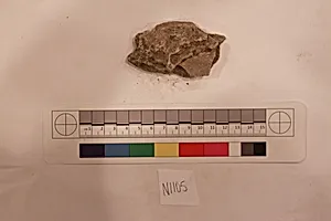 Stucco Fragment