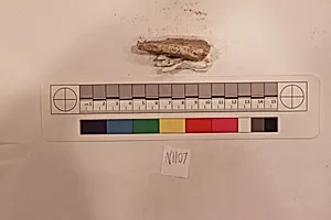 Stucco Fragment