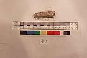 Stucco Fragment