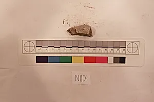 Stucco Fragment by Unknown Artist