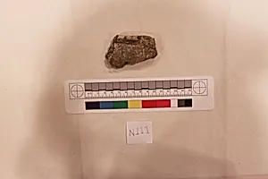 Stucco Fragment by Unknown Artist