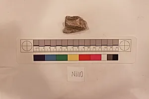 Stucco Fragment