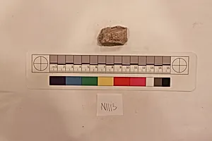 Stucco Fragment by Unknown Artist