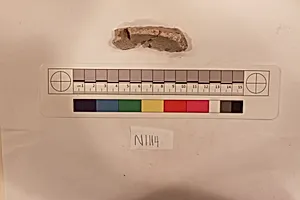Stucco Fragment