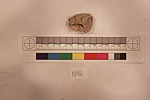 Stucco Fragment