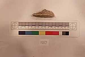 Stucco Fragment