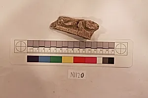 Stucco Fragment