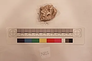 Stucco Fragment by Unknown Artist