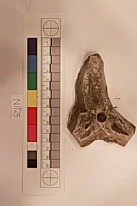 Stucco Fragment by Unknown Artist