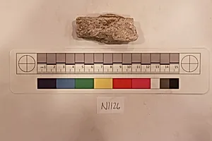 Stucco Fragment